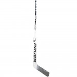 Bauer Vapor X2.9 Goalie Sticks Jr