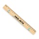 HKS Jets Ruler – School 2026 (20cm)