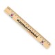 PTH Poznań - School 2026 Ruler (20cm)