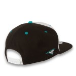 RH Mission Skater 9Fifty Cap