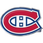 NHL Aluminum Team Logo Decal