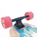 Longboard TEMPISH Wovoka