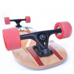 Longboard TEMPISH Wovoka