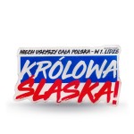 Magnes Polonia Bytom: Returns to the Game!