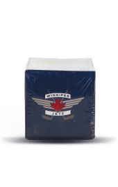 Pojemnik z karteczami biurowymi NHL