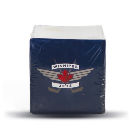 Pojemnik z karteczami biurowymi NHL