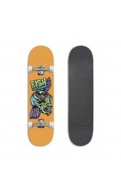 Skateboard complete Fish Beginner Mason